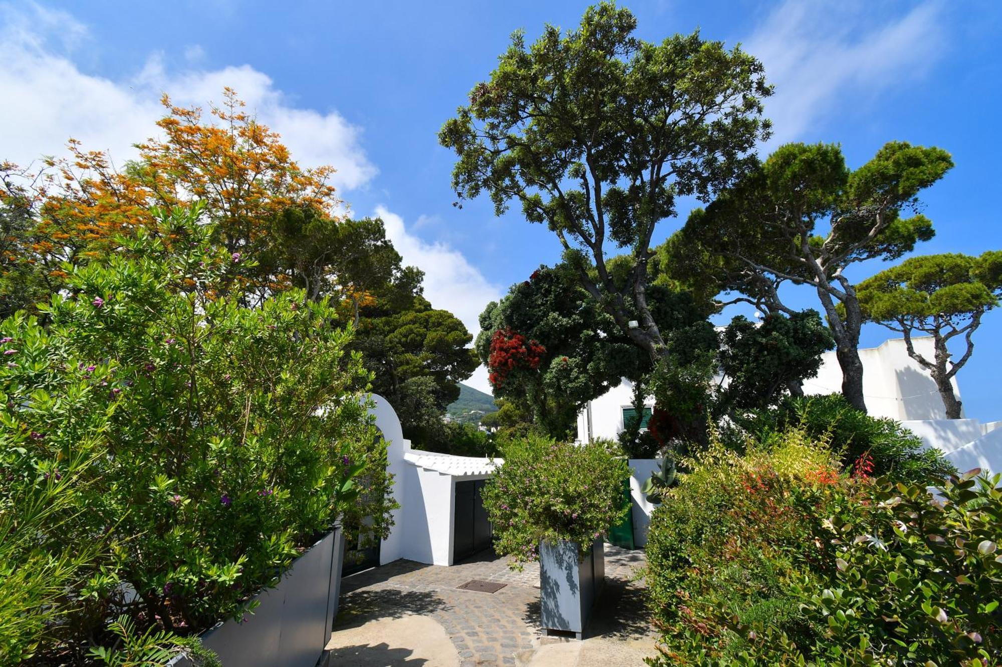 B&B Villa Lentisco Ischia Kültér fotó